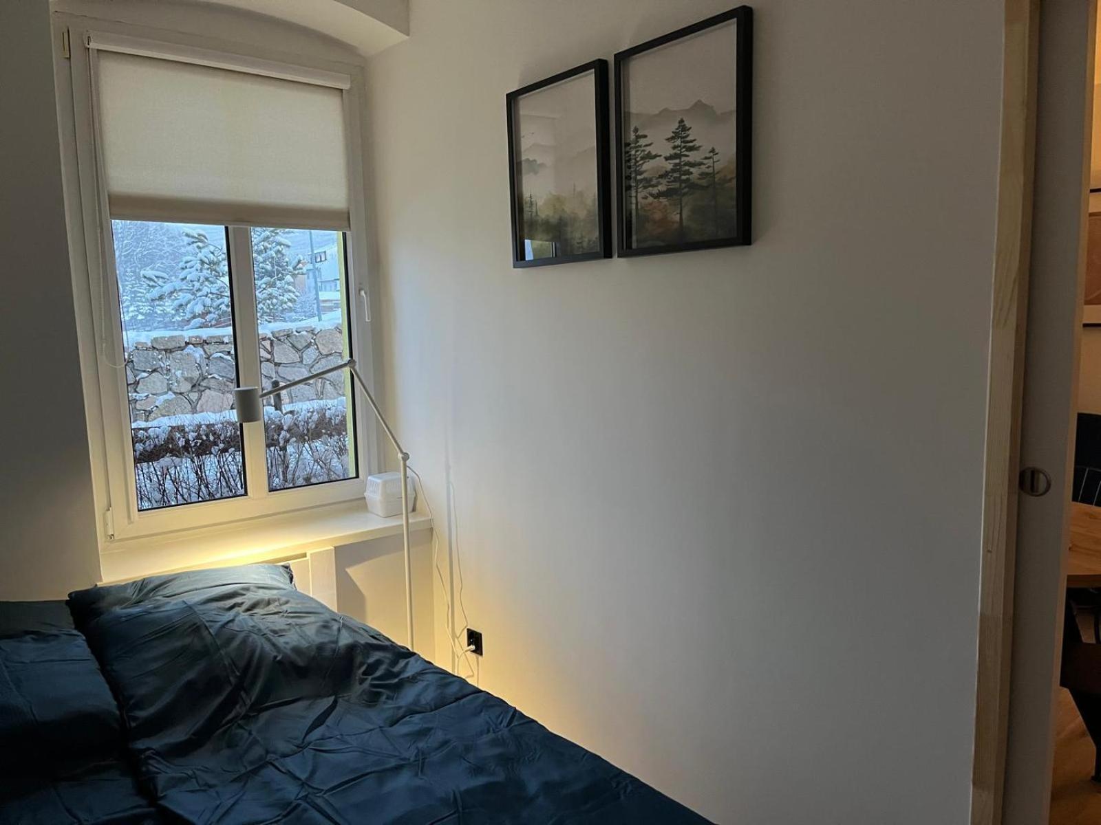 W Izerach Apartment Шклярска Поремба Екстериор снимка